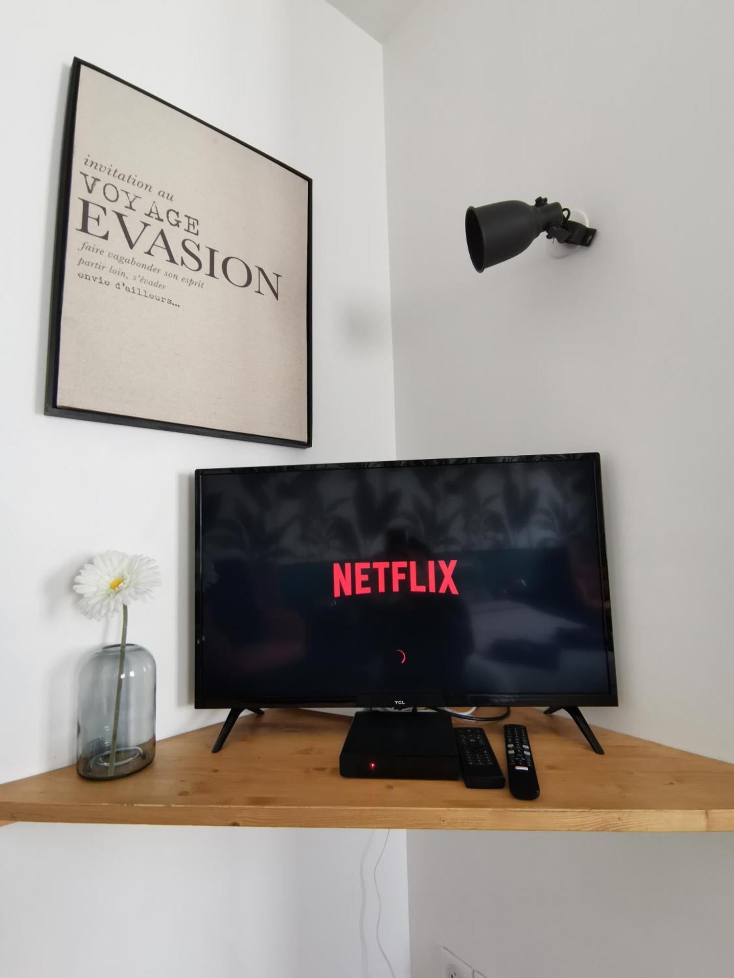 Jungle Studio Gex - Ski - Netflix Eksteriør billede